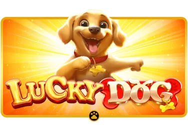 Người chơi Việt Nam trải nghiệm game slot trên điện thoại tại sv888